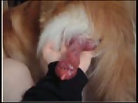 Teen playing with her pink canine dildo