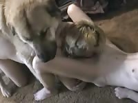 Animal sex fun with brown furry dog and a blonde
