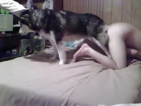 Teen animal sex with a big furry dog