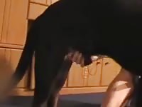 Black animal hot sex with its slutty owner