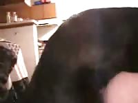 K9 dog porno with a hot babe