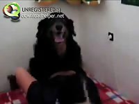 Black k9 sex with his teen owner on the bed