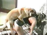 Animal porn with dog banging a slut