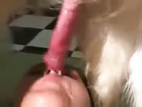 Tight zoopussy getting pounded by dog