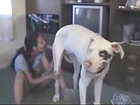Brunette babe giving her dog xxx a deepthroat