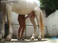 Nude horse's huge cock got masturbated by a slut