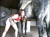 Beastie gal sucks a horse's dick while masturbating