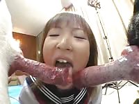 Asian beastiality student sucking a dog's cock