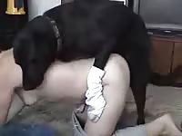 K9 dog sex with busty babe