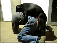Homemade beastiality dog sex with gay