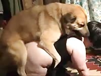 Animal sex fun with two fat whores on the floor