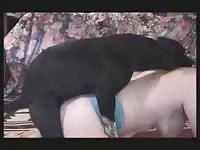 Dog anal sex with his busty owner