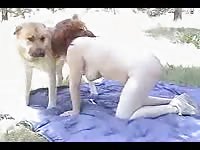 Picnic sex of a k9 lady and her big pet dog