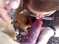 Nerd babe sucking and jacking off a dog