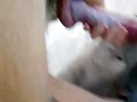 Beastie gal making a dog cum