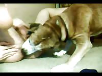 Dog oral sex with naughty babe