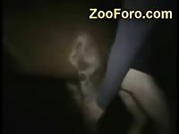 Late night horse cock sucking with beastie gal