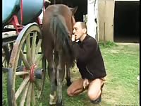 Matured gay sucking an animal dildo