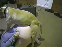 Ohknotty owner having sex with her pet on the floor