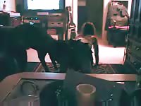 Webcam dog porno with brunette