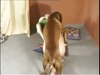 Blonde teen animal sex with her dog