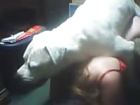 White dog eating the pussy of her pet porn owner