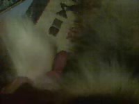 Furry pet porn with beastiality lover