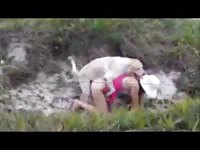 Tourist got fucked by a dog on a farm xxx