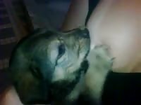 Dog biting the nipples of beastie gal