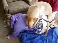 Pet porn dog banging a curvy chick