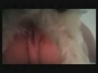 Pet porn with fat ass whore