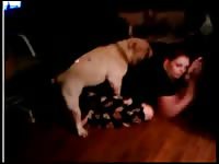 Brunette babe on webcam dog sex