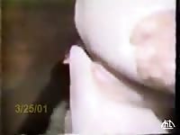 White ass got destroyed by horny horse xxx