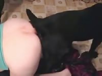Homemade beastiality girl got banged by dog