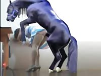 Toy horse sex with action figures