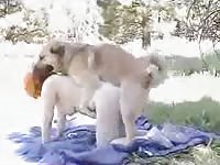 Outdoor dog porno with busty babe