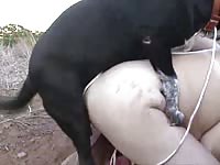 Outdoor dog sex with short-haired MILF
