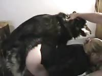 Dog force beastiality sex with blonde