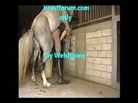 Gay horse anal sex at the farm