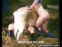 Animal sex fun with two sluts