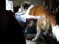 Furry canine fucking a gay from behind amateur beastiality