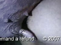 Animal penetrating a gay's ass from behind free zoo porn