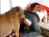 K9lady forced her dog to lick her ass