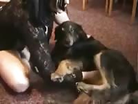 Lovely brunette sucking a furry dog's cock