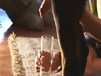 K9 lady collecting dog semen