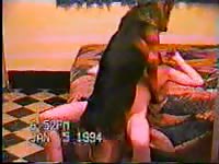 Amateur animal sex on the bed