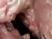 Big dick wrecking a wet pussy