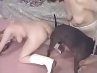 Pregnant k9 lady got fucked by dog