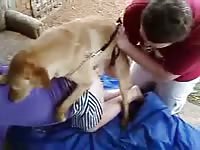 Pervert couple having threesome with a dog
