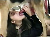 MILF loving her canine dildo